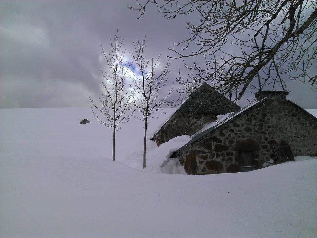 Auberge Hotel De Tournemire - Cantal מראה חיצוני תמונה